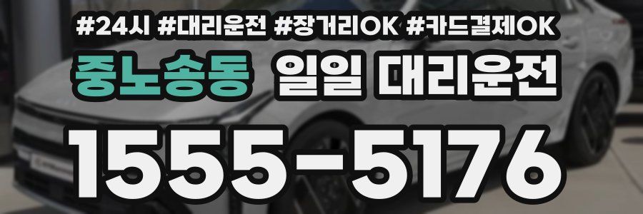 중노송동 일일 대리운전