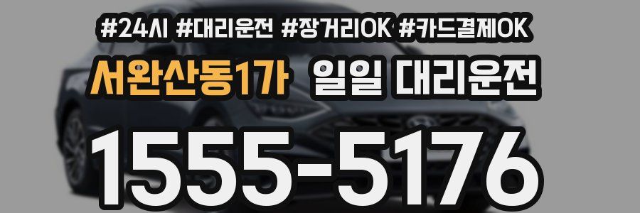서완산동1가 일일 대리운전