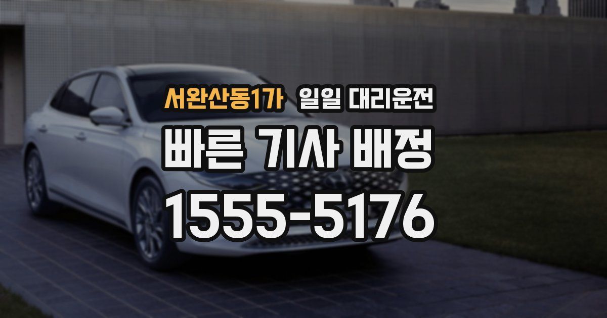서완산동1가 일일 대리운전