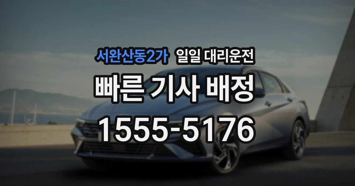 서완산동2가 일일 대리운전