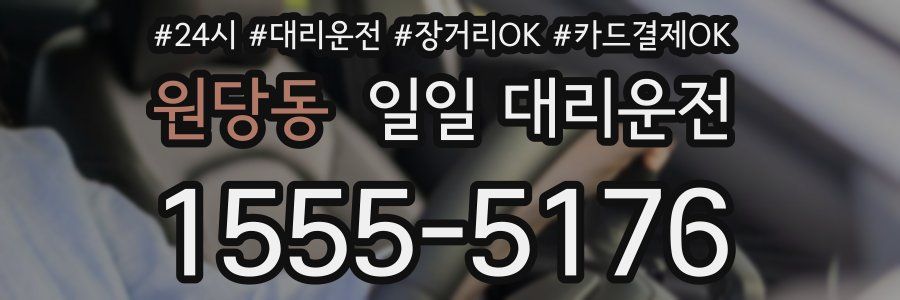 원당동 일일 대리운전