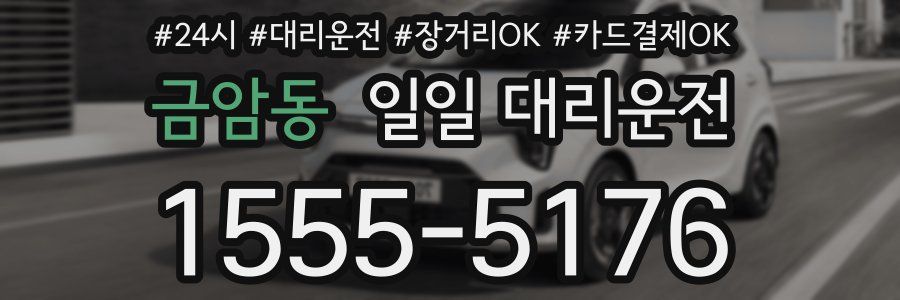 금암동 일일 대리운전