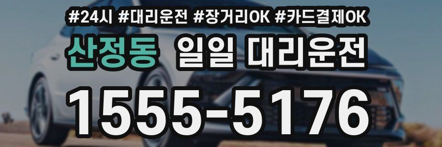 산정동 일일 대리운전