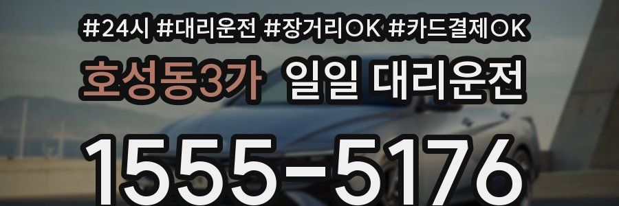 호성동3가 일일 대리운전