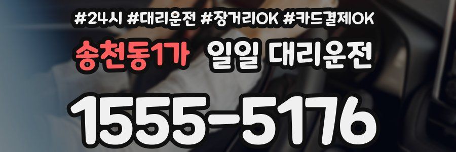송천동1가 일일 대리운전