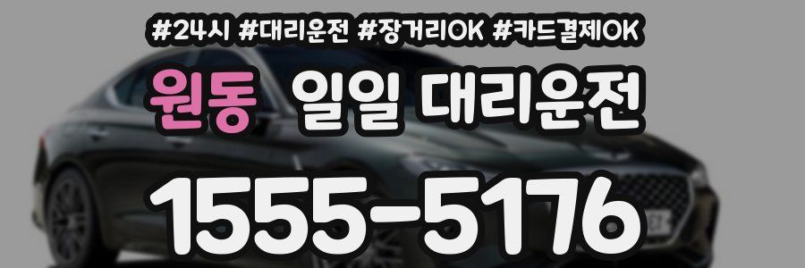원동 일일 대리운전