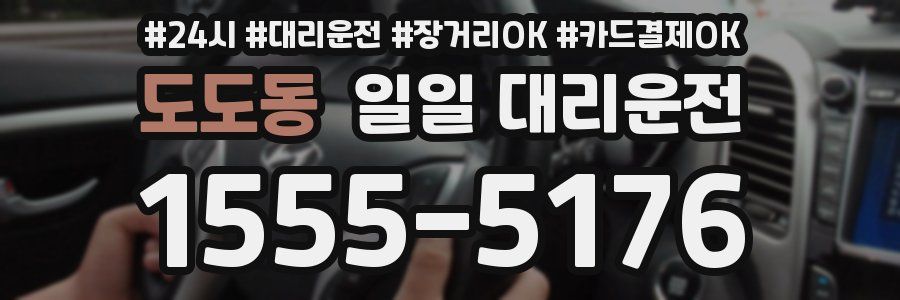 도도동 일일 대리운전
