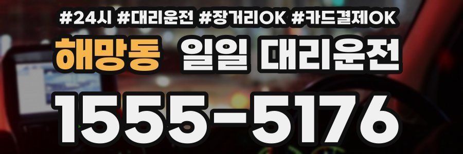 해망동 일일 대리운전