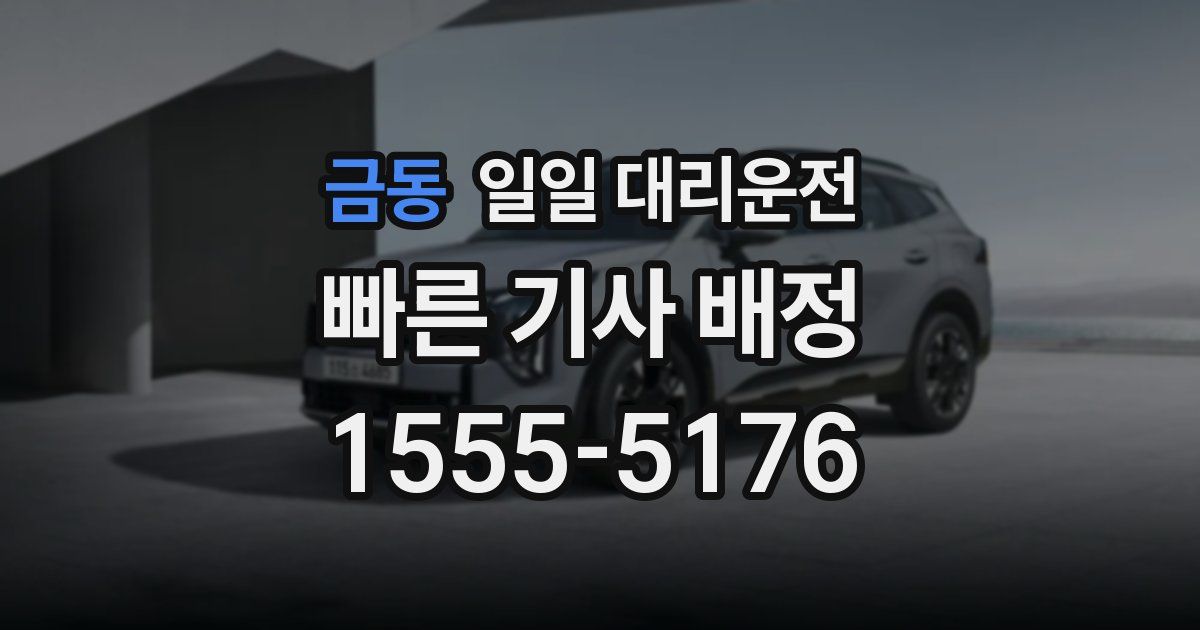 금동 일일 대리운전