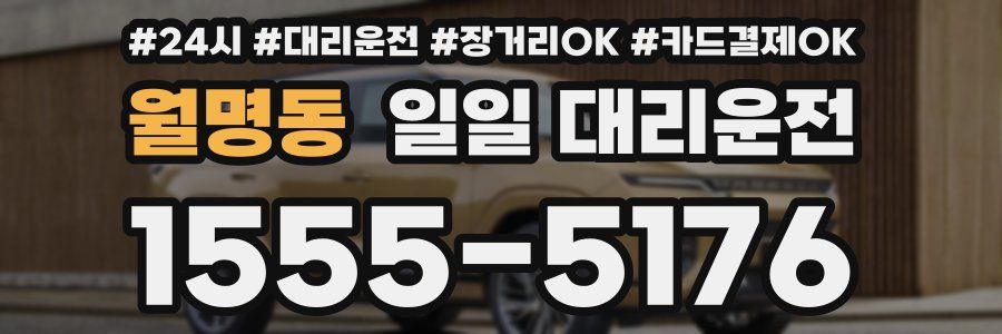 월명동 일일 대리운전