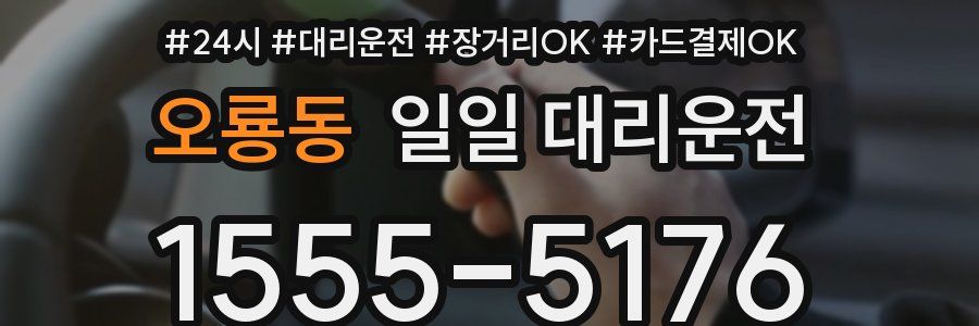 오룡동 일일 대리운전