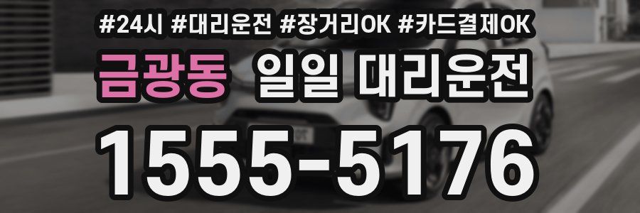 금광동 일일 대리운전