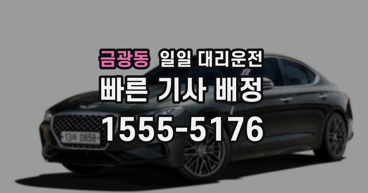 금광동 일일 대리운전
