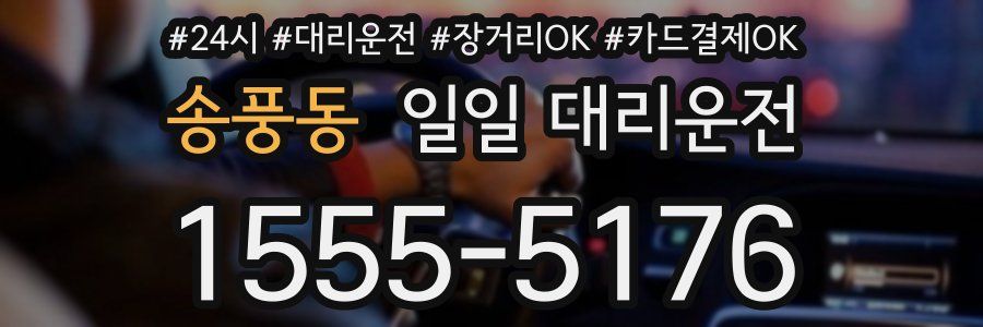 송풍동 일일 대리운전