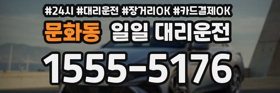 문화동 일일 대리운전