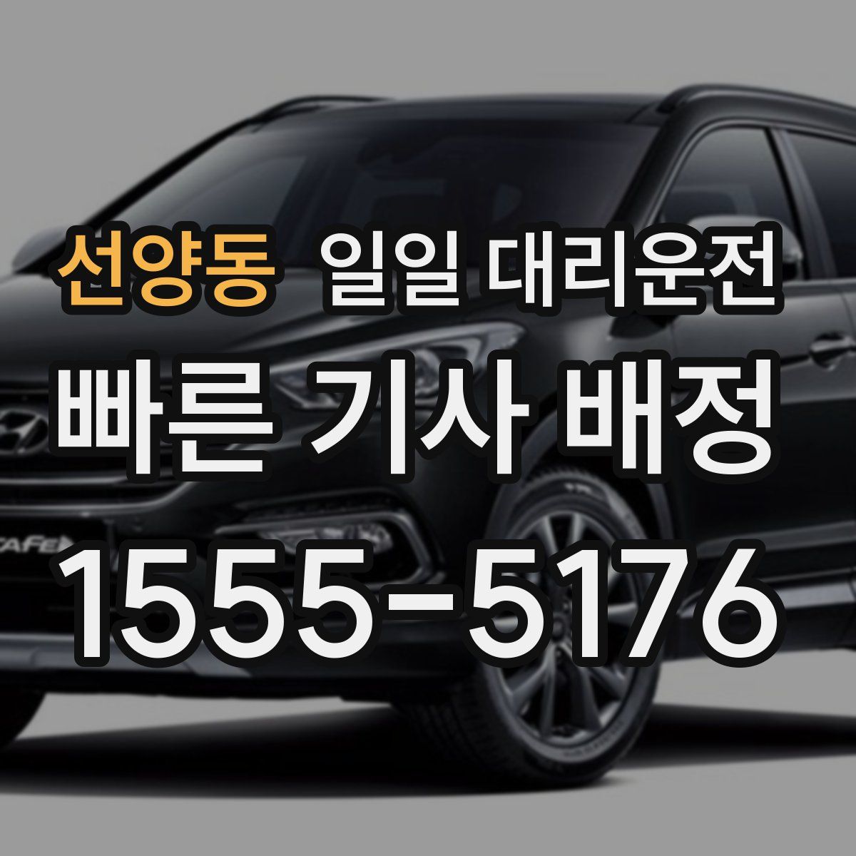 선양동 일일 대리운전