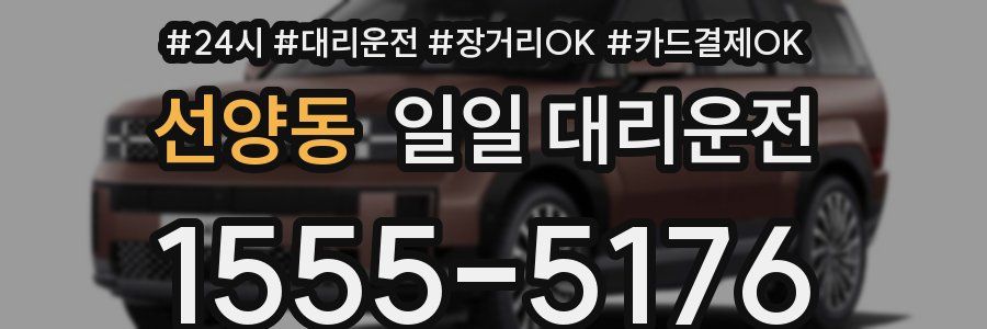 선양동 일일 대리운전