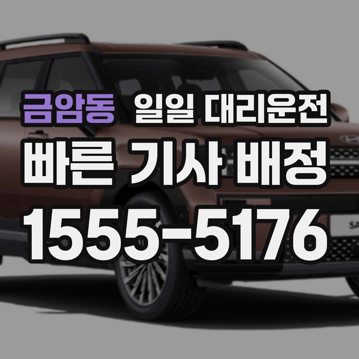 금암동 일일 대리운전