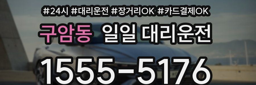 구암동 일일 대리운전