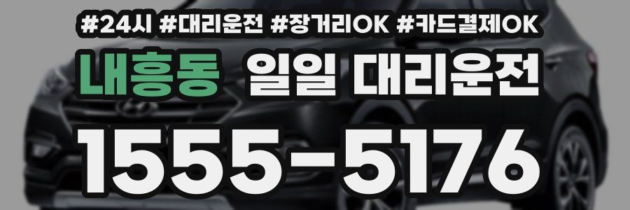 내흥동 일일 대리운전