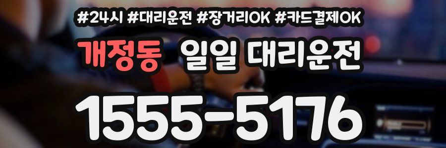 개정동 일일 대리운전