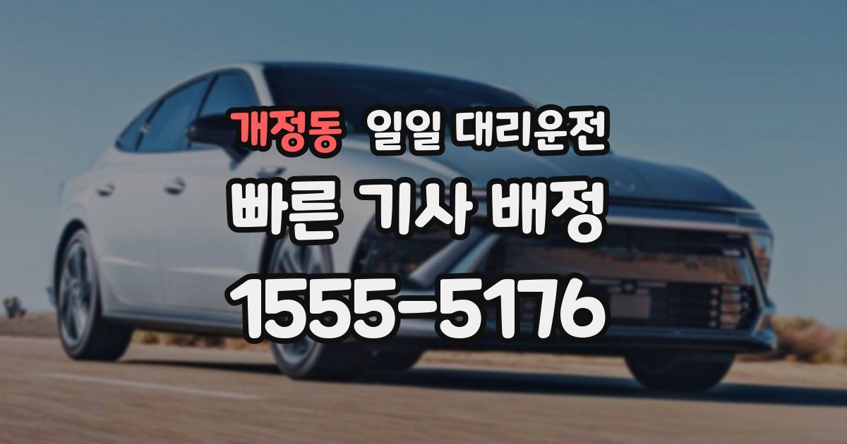 개정동 일일 대리운전