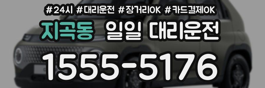 지곡동 일일 대리운전