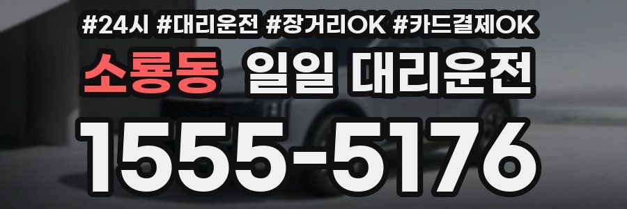 소룡동 일일 대리운전