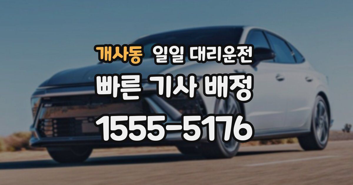 개사동 일일 대리운전