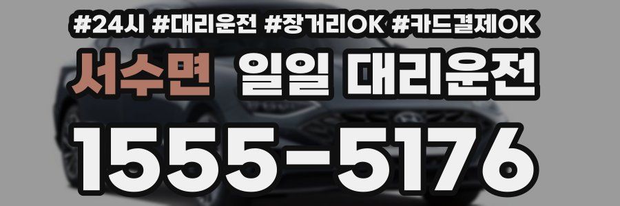 서수면 일일 대리운전