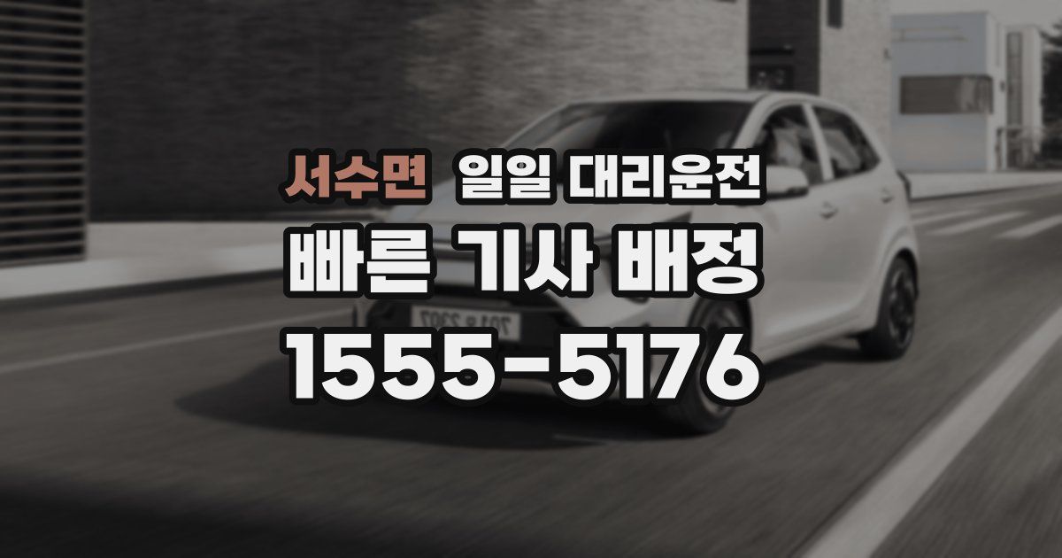 서수면 일일 대리운전
