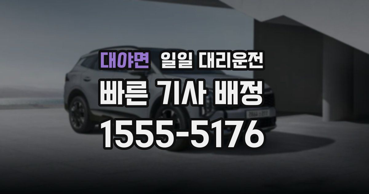 대야면 일일 대리운전