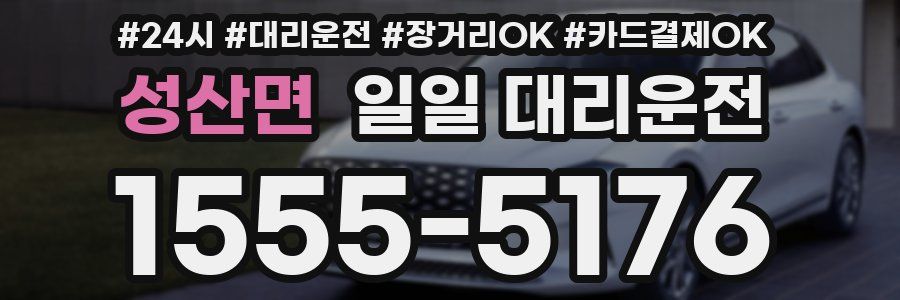 성산면 일일 대리운전