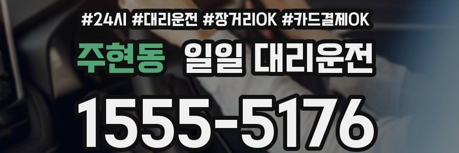 주현동 일일 대리운전