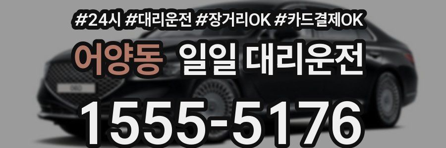 어양동 일일 대리운전