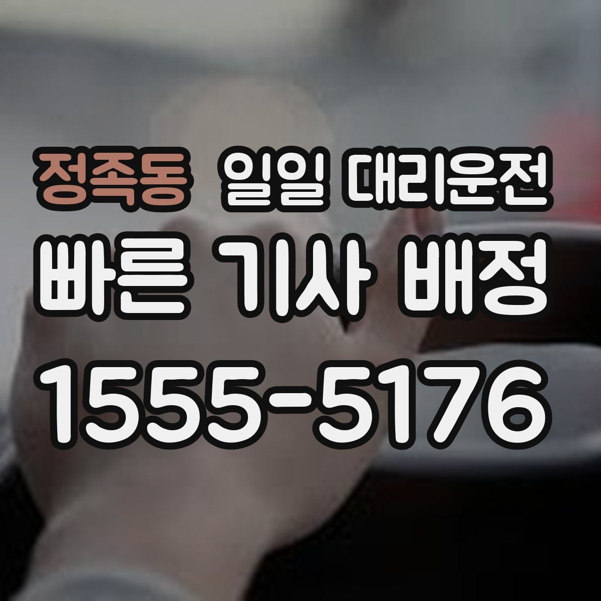 정족동 일일 대리운전