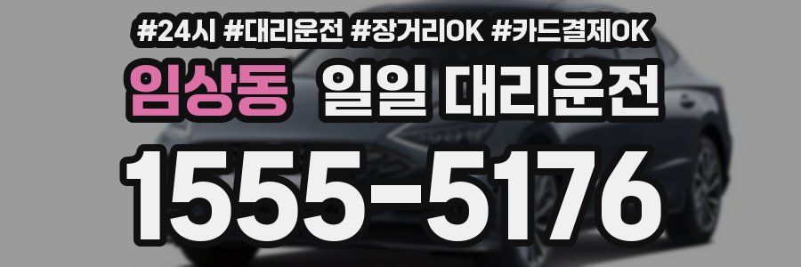 임상동 일일 대리운전