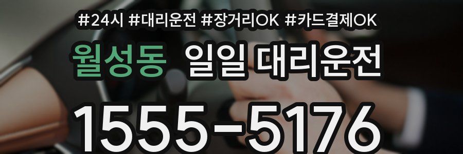 월성동 일일 대리운전