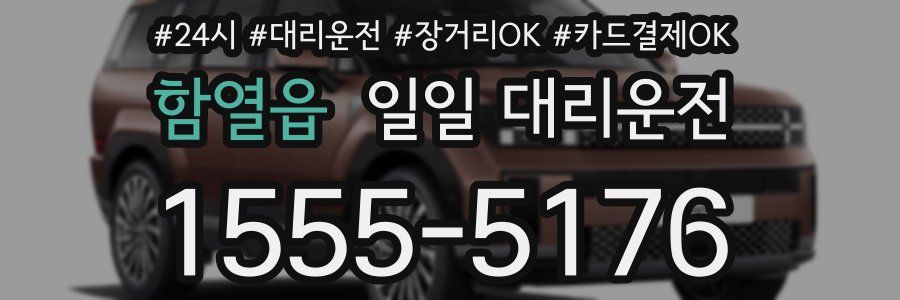 함열읍 일일 대리운전