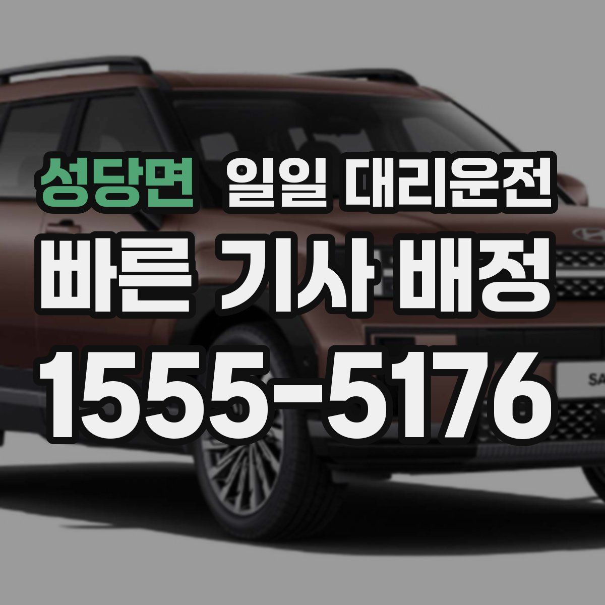 성당면 일일 대리운전