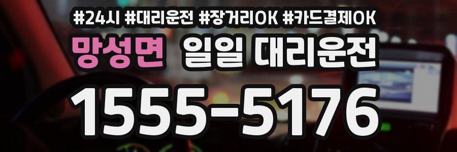 망성면 일일 대리운전