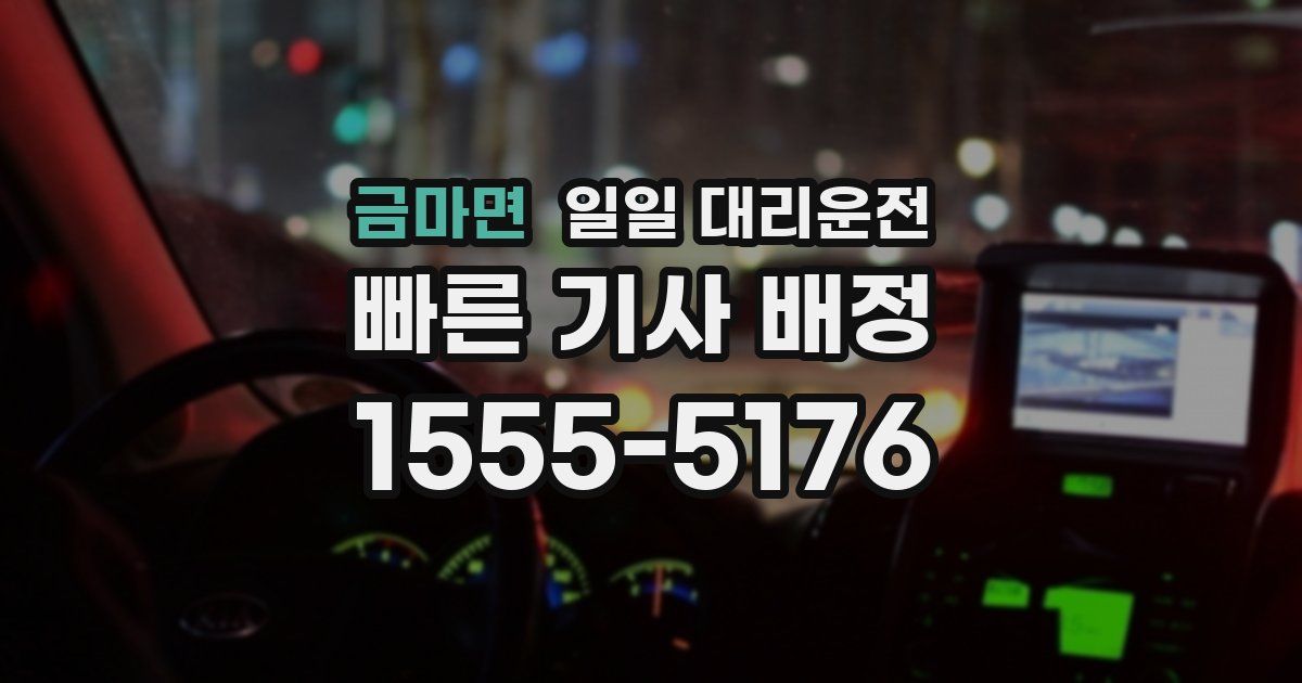 금마면 일일 대리운전