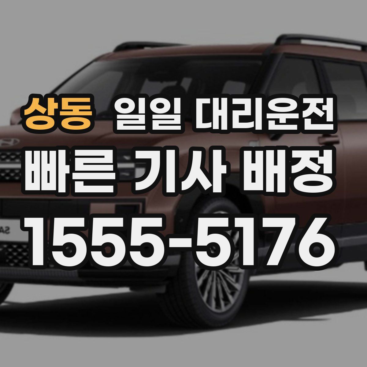 상동 일일 대리운전
