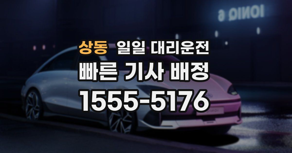 상동 일일 대리운전