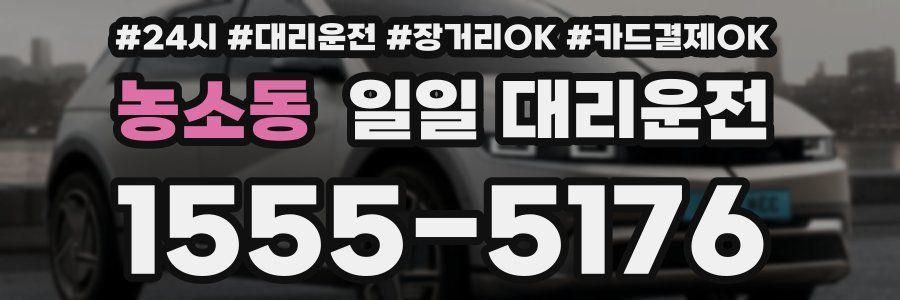 농소동 일일 대리운전