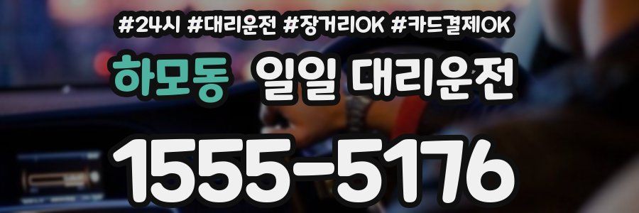 하모동 일일 대리운전
