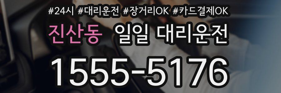 진산동 일일 대리운전
