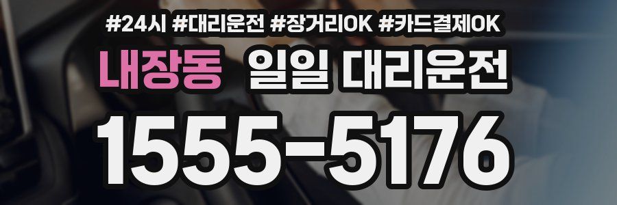 내장동 일일 대리운전