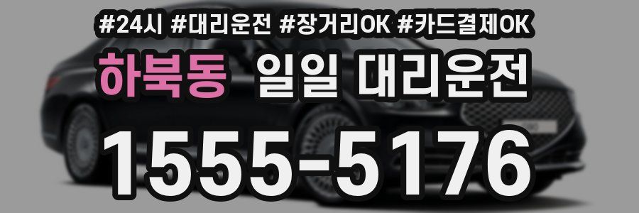 하북동 일일 대리운전