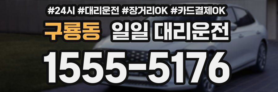 구룡동 일일 대리운전